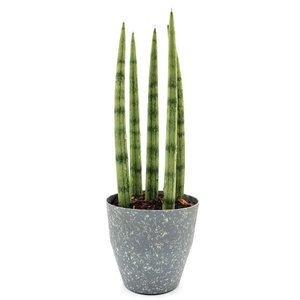 Imagem de Vaso com Lança de São Jorge