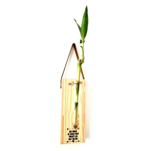 Bambu da Sorte com Bloco de Madeira para Pendurar