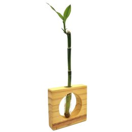 Imagem de Bambu da Sorte Solitário com Suporte de Madeira
