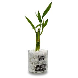 Imagem de Bambu da Sorte com Vaso Siga Seu Coração