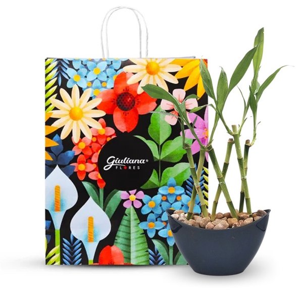Vaso Canoa Elegance com Bambu da Sorte