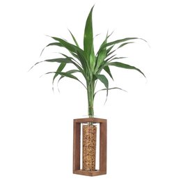 Imagem de Suporte Rústico em Madeira com Bambu da Sorte