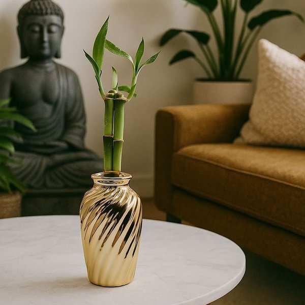 Vaso Haiti em Cerâmica com Bambu da Sorte