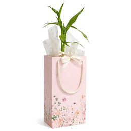 Imagem de Kit Presente Bambu da Sorte e Sacola Feliz Dia