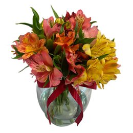 Imagem de Arranjo de Astromélias Primavera 