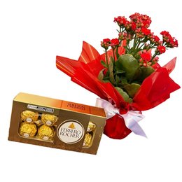 Imagem de Kalandiva com Chocolates 