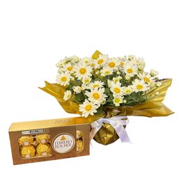 Imagem de Margaridinhas e Chocolates 