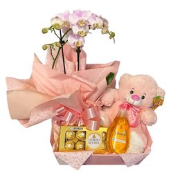 Imagem de Kit Maternidade Mel 