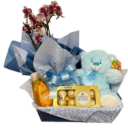 Imagem de Kit Maternidade Theo 