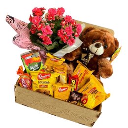 Imagem de Cesta Capricho 