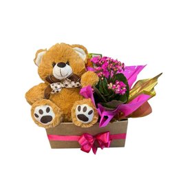 Imagem de Box Fortuna de Caramelo