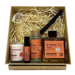 Imagem de Kit Ritual Te Animo