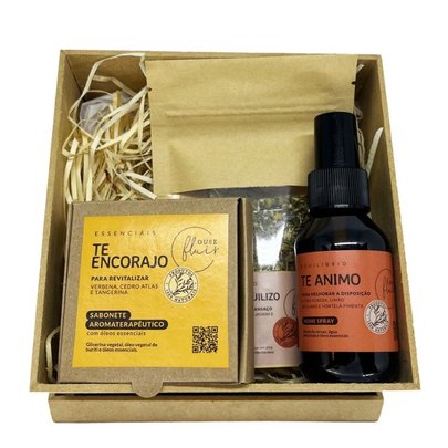 Mini Kit Presente