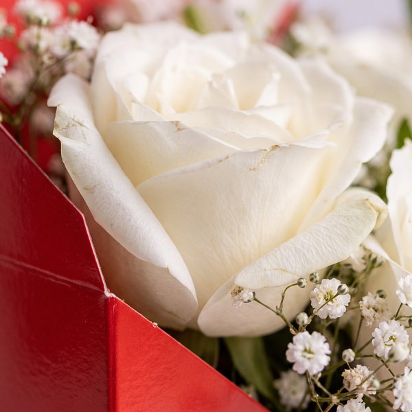 Envelope com Flores Brancas 