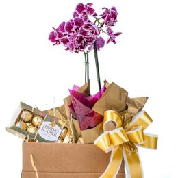 Imagem de Mini Orquídea com Ferrero Rocher