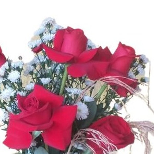 Especial Rosas Vermelhas