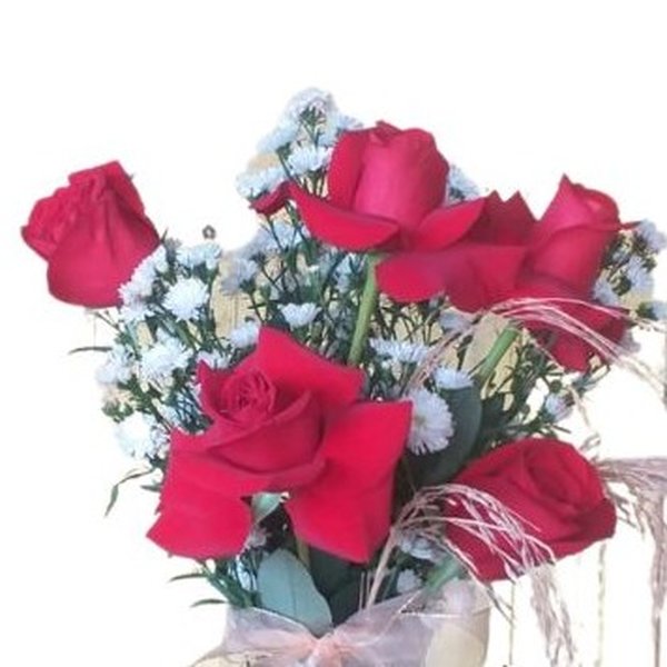 Especial Rosas Vermelhas