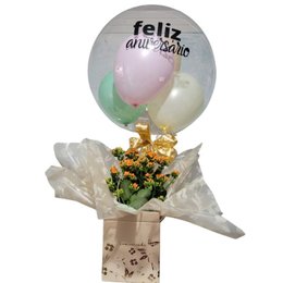 Imagem de Kalandiva Especial 