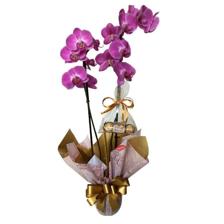 Orquídea 2 Hastes Roxa e Chocolate | Giuliana Flores