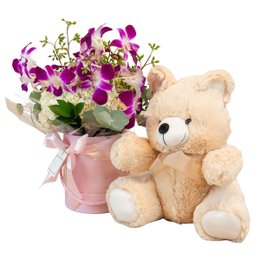 Imagem de Kit Presente Arranjo Orquídeas e Urso de Pelúcia Lyon