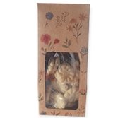 Mimo Com Biscoitos