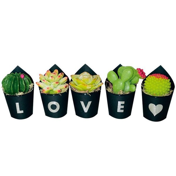 Kit Love com Cactos de Sabonetes 