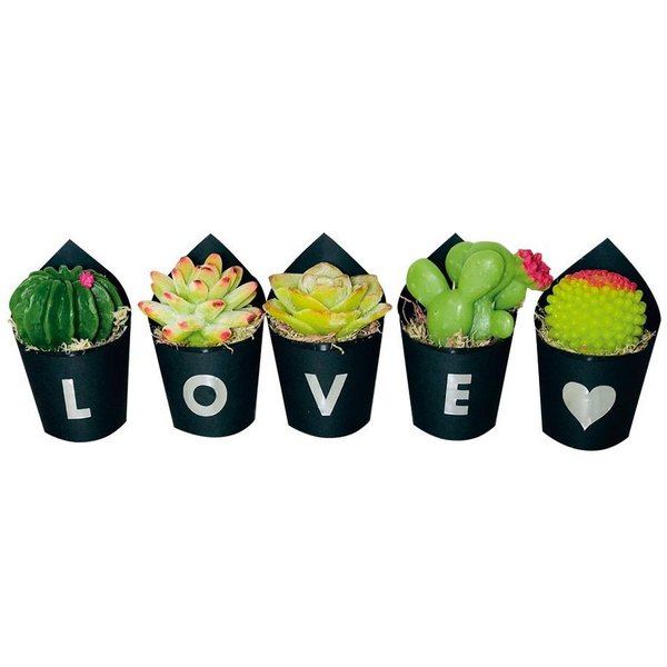 Kit Love com Cactos de Sabonetes 