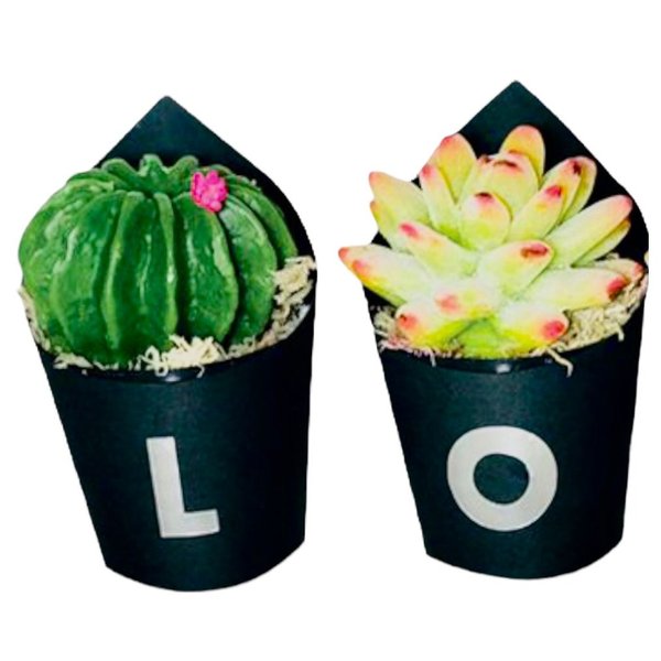 Kit Love com Cactos de Sabonetes 
