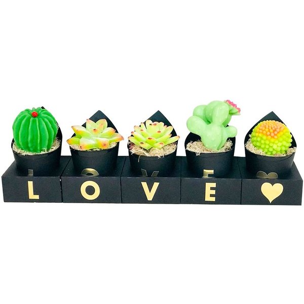 Kit Love, Cactos, Sabonete Perfumado