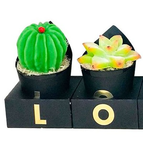 Kit Love, Cactos, Sabonete Perfumado