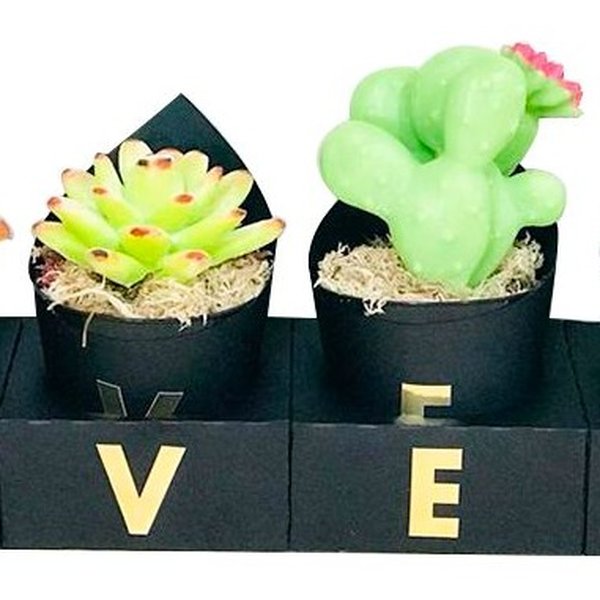 Kit Love, Cactos, Sabonete Perfumado
