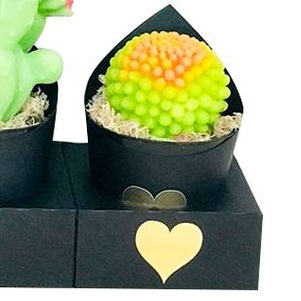 Kit Love, Cactos, Sabonete Perfumado