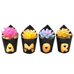 Imagem de Kit Suculenta em Sabonete