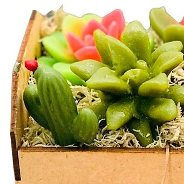 Caixote de Suculentas, Sabonete Perfumado