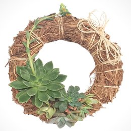 Imagem de Guirlanda com Suculentas Naturais