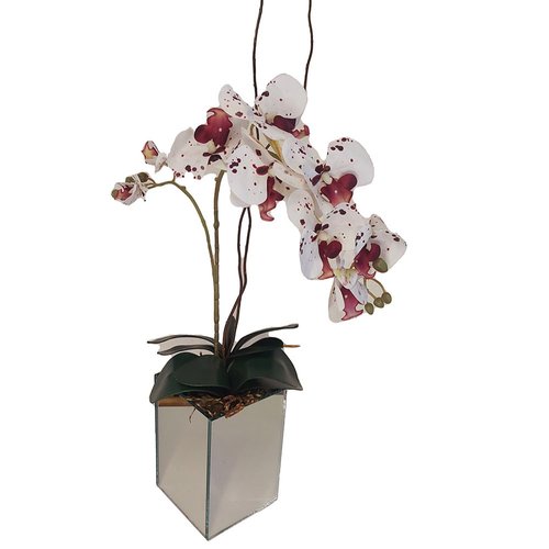 Orquídea  no Vaso Espelhado