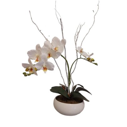 Orquídea Branca Clássica Permanente