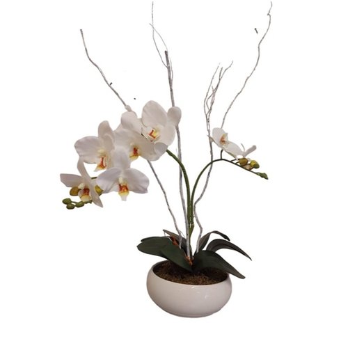 Orquídea Branca Clássica Permanente  