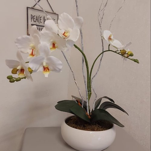 Orquídea Branca Clássica Permanente  