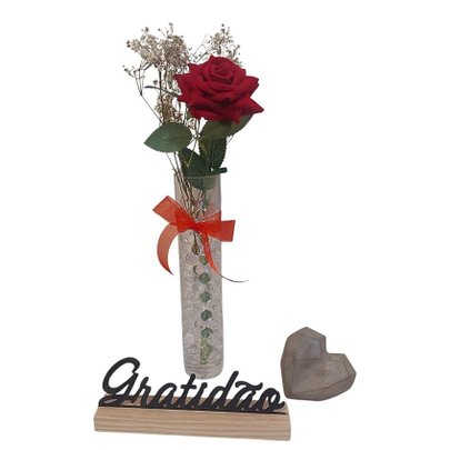 Gratidão Com Uma Rosa