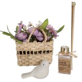 Kit Mini Jardim Encantado