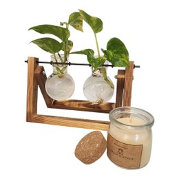 Imagem de Kit Living Nature