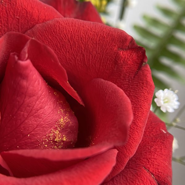 Duas Rosas Colombianas 