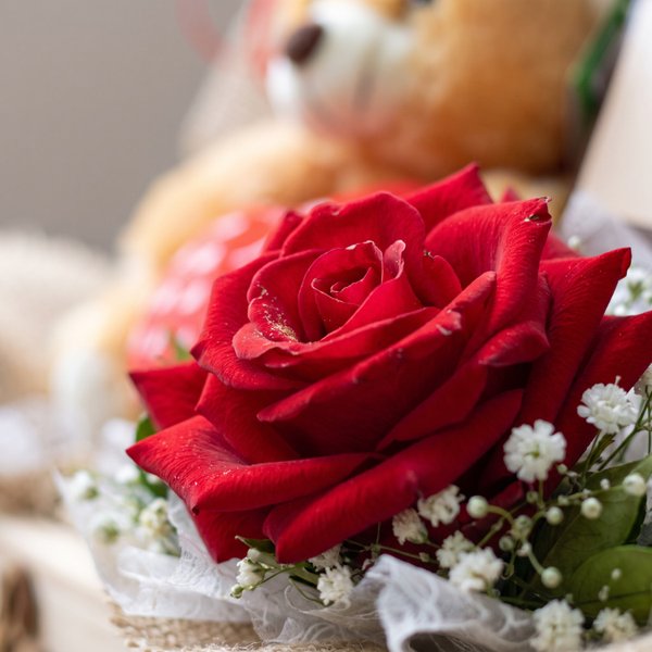 Box do Amor 
