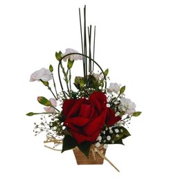 Imagem de Solitário na Caixinha 