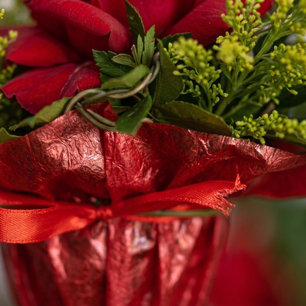 Solitários de Rosas Encantadoras 