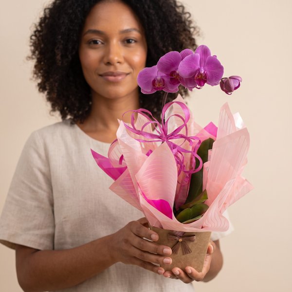 Orquídea Pink 