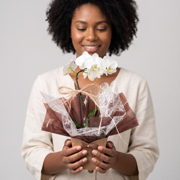 Carinho de Orquídea