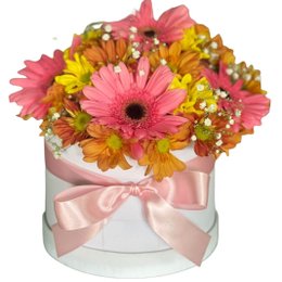 Imagem de Caixa Box Gérberas