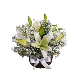 Imagem de Box Lírio Branco